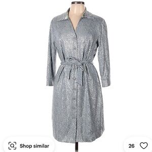 Donna Karan silver sequin dress/robe